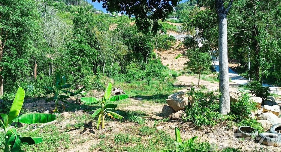 ขาย ที่ดิน ใน เกาะสมุย, สุราษฎร์ธานี