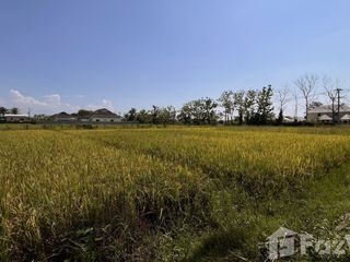 Продажа Участок в Дои Сакет, Чианг Маи