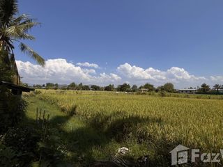 Продажа Участок в Дои Сакет, Чианг Маи
