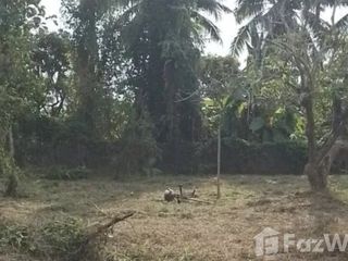 For sale land in San Pa Tong, Chiang Mai