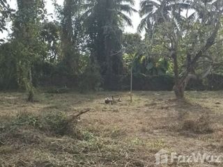 For sale land in San Pa Tong, Chiang Mai