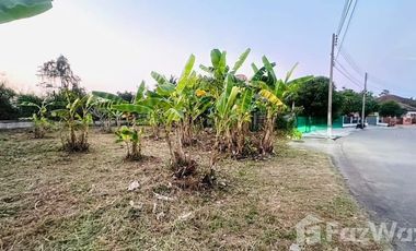 For sale land in San Sai, Chiang Mai
