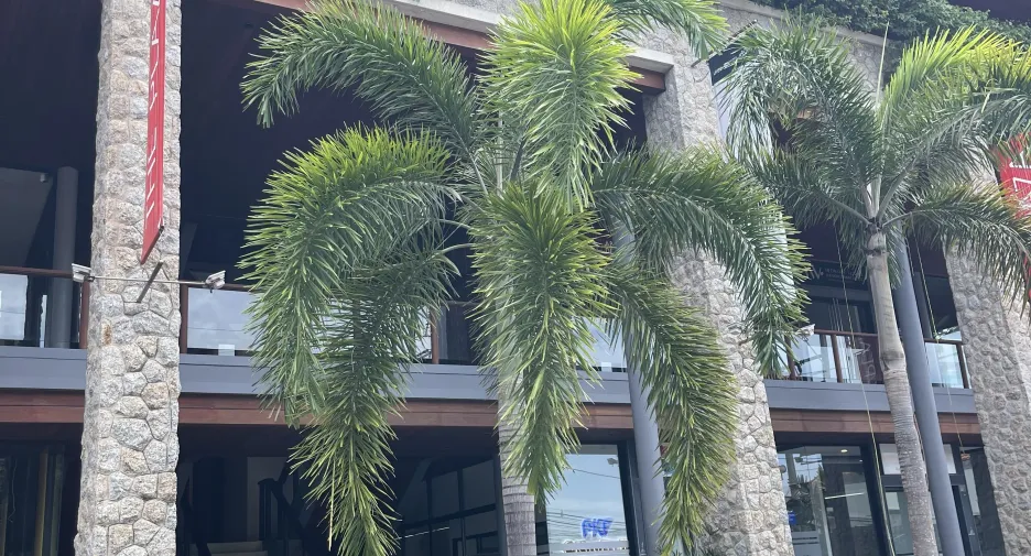For rent office in Thalang, Phuket