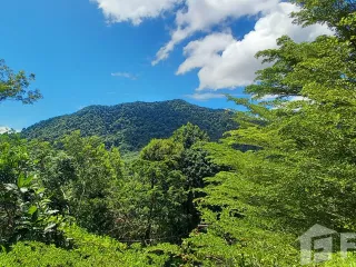 For Rent 3 Bedroom Condo In Kathu, Phuket