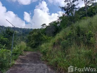 For sale land in Ko Samui, Surat Thani