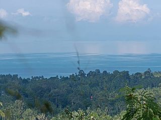For sale land in Ko Samui, Surat Thani