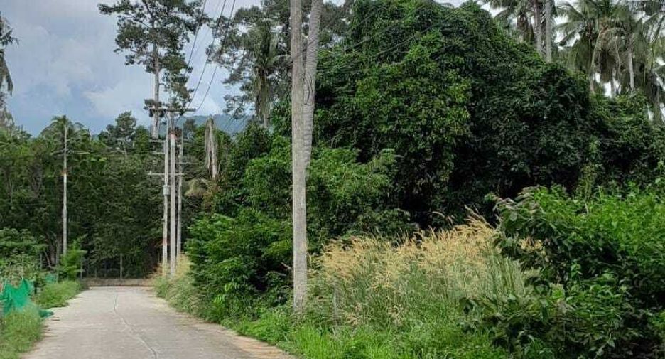 For sale land in Ko Samui, Surat Thani