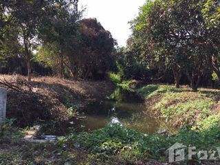 For sale land in San Pa Tong, Chiang Mai