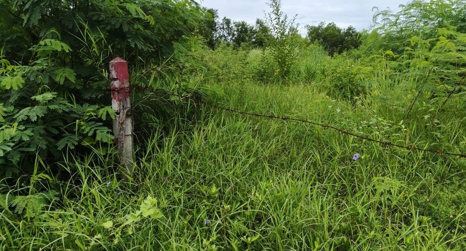 À vendre terrain à Bang Lamung, Chonburi