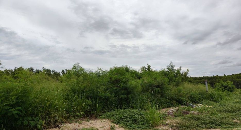 À vendre terrain à Bang Lamung, Chonburi
