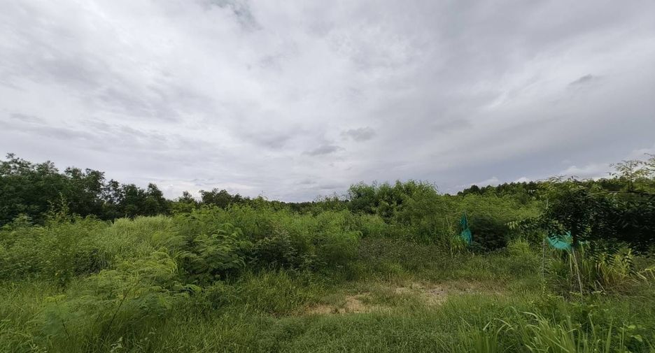 À vendre terrain à Bang Lamung, Chonburi