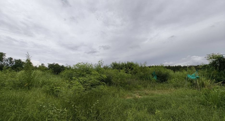 À vendre terrain à Bang Lamung, Chonburi