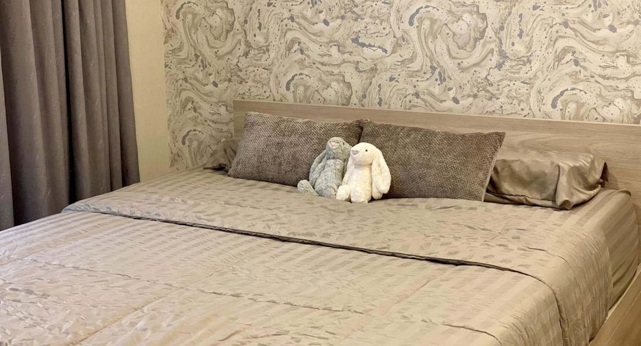 For rent 1 bed condo in Mueang Phuket, Phuket