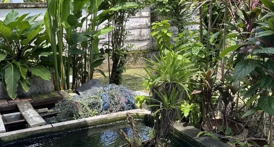 For rent 3 bedrooms house in Thalang, Phuket