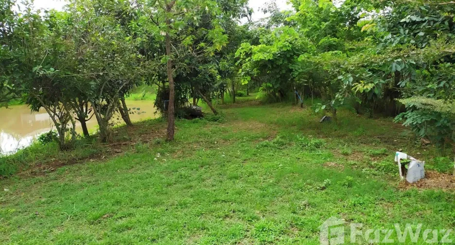 Haus zum Kauf mit 2 Zimmer in Mae Rim, Chiang Mai