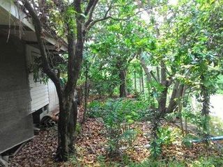 For sale land in Thawi Watthana, Bangkok