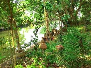 For sale land in Thawi Watthana, Bangkok