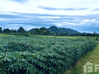 For sale land in Sai Yok, Kanchanaburi