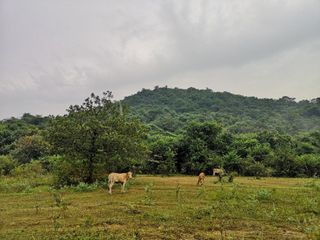 Terreno en venta en Sam Roi Yot, Prachuap Khiri Khan