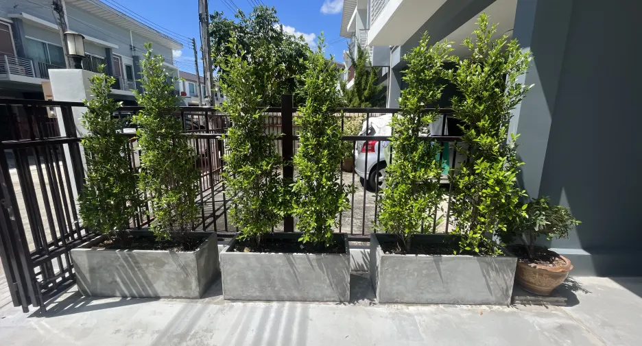 For rent 3 bedrooms house in Mueang Phuket, Phuket