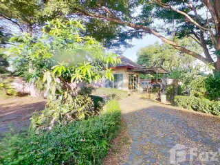 出售 4 卧室 独立屋 在 Mueang Chiang Mai, Chiang Mai