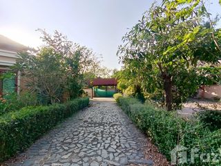 出售 4 卧室 独立屋 在 Mueang Chiang Mai, Chiang Mai