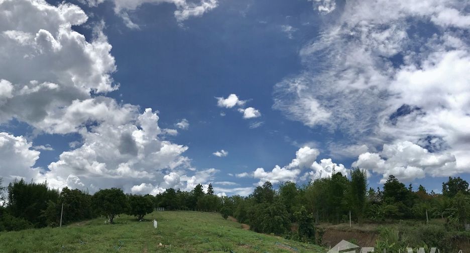 For sale land in Mae Taeng, Chiang Mai