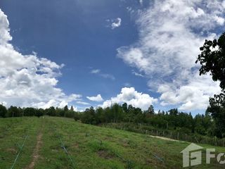 For sale land in Mae Taeng, Chiang Mai