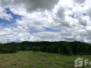 For sale land in Mae Taeng, Chiang Mai