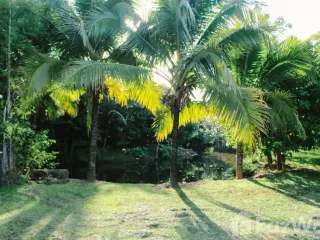 For sale land in Mae Taeng, Chiang Mai