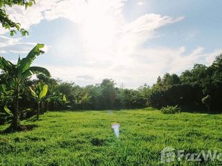 For sale land in Mae Taeng, Chiang Mai