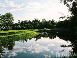 For sale land in Mae Taeng, Chiang Mai
