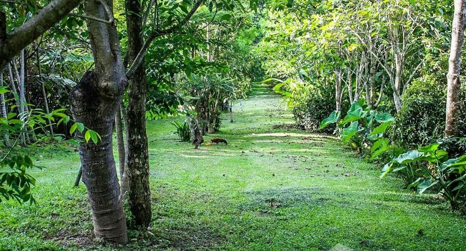 Terreno en venta en Mae Taeng, Chiang Mai