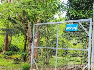 For sale land in Mae Taeng, Chiang Mai