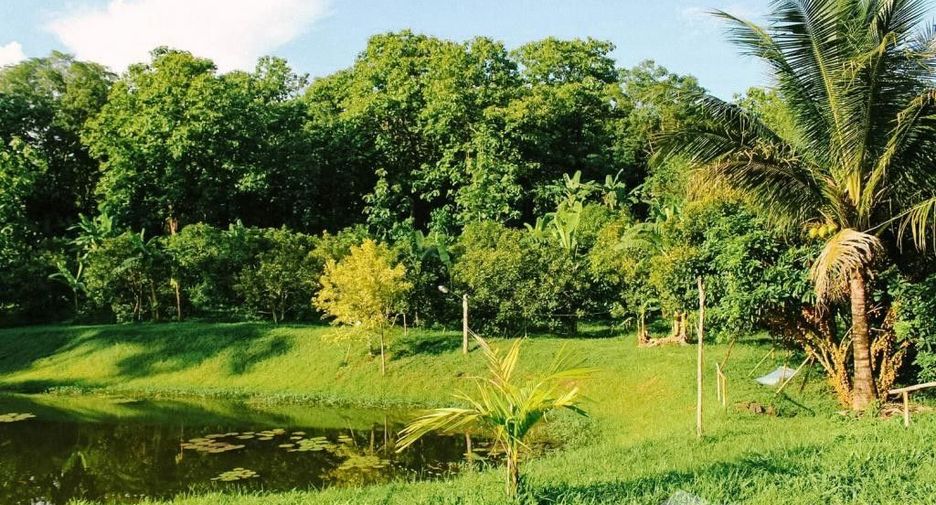 Terreno en venta en Mae Taeng, Chiang Mai