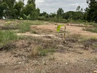 For sale land in Wang Noi, Phra Nakhon Si Ayutthaya