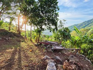 À vendre terrain à Mueang Phuket, Phuket