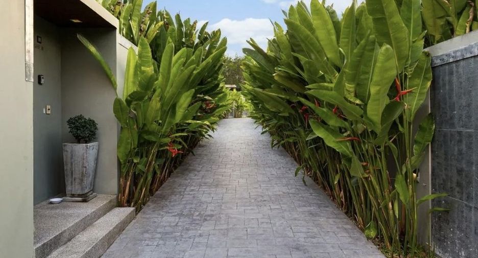 Villa en alquiler de 4 habitaciones en Thalang, Phuket