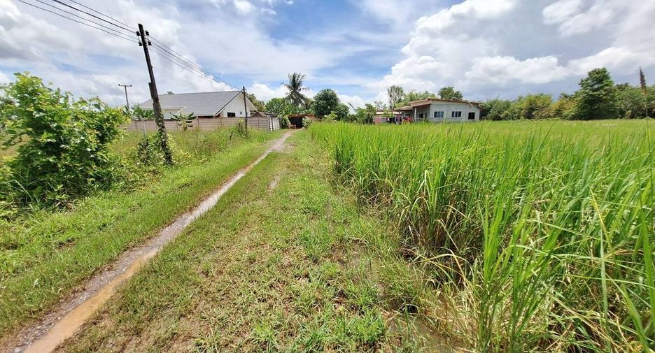 For sale land in Mueang Udon Thani, Udon Thani