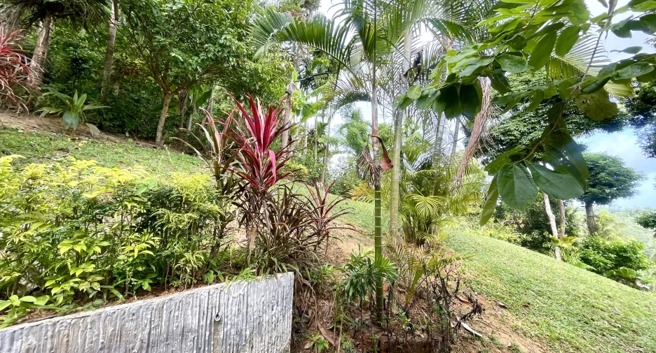 For rent 2 bedrooms house in Kathu, Phuket
