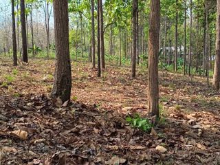 For sale land in Mae Taeng, Chiang Mai
