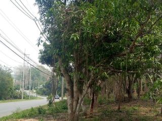 For sale land in Mae Taeng, Chiang Mai