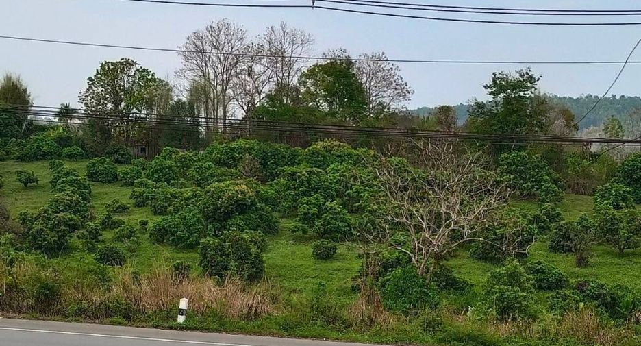 For sale land in Mae Taeng, Chiang Mai