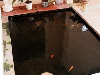 À vendre et à louer 4 chambres maison à Mueang Chiang Mai, Chiang Mai