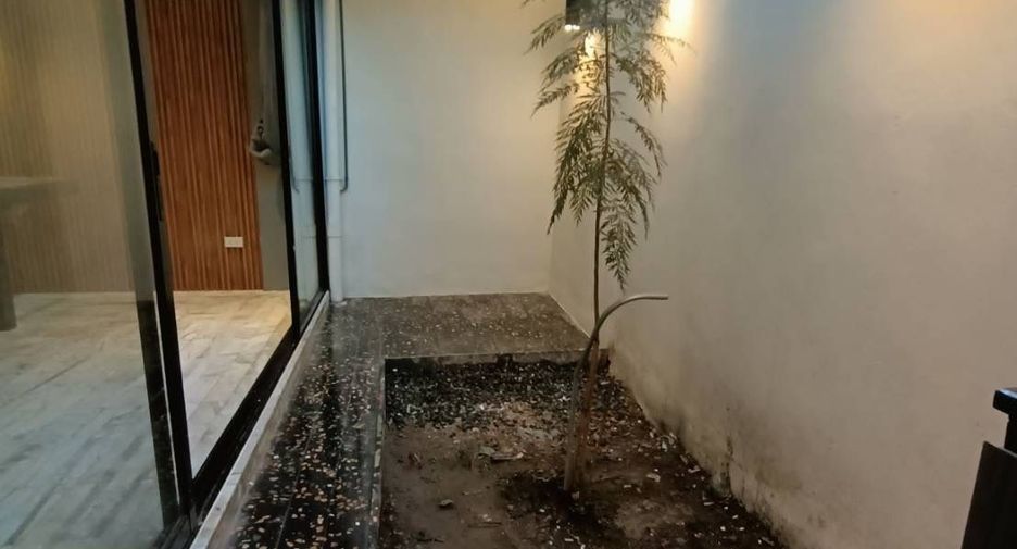 出售 和 出租 4 卧室 联排别墅 在 Watthana, 曼谷
