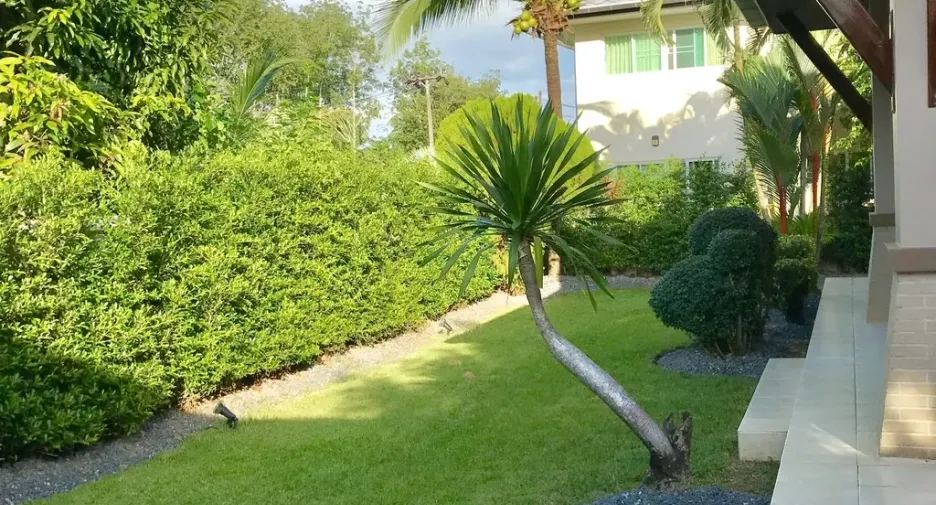 For rent 3 bedrooms villa in Thalang, Phuket