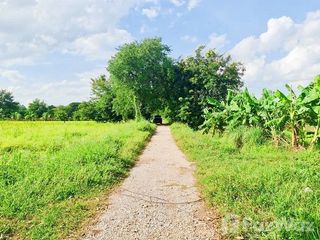 For sale land in Mueang Khon Kaen, Khon Kaen