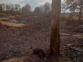 Terreno en venta en Hang Chat, Lampang
