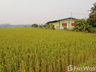 For sale land in San Sai, Chiang Mai