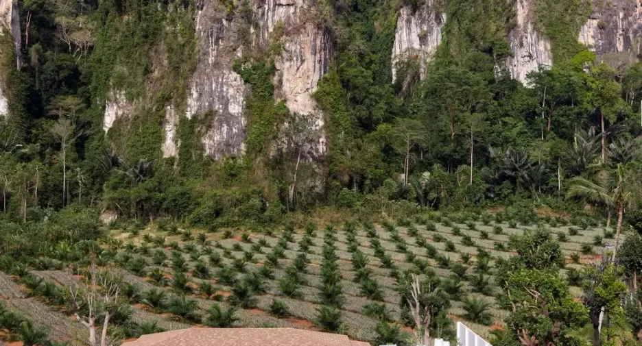For sale 3 bedrooms villa in Mueang Krabi, Krabi